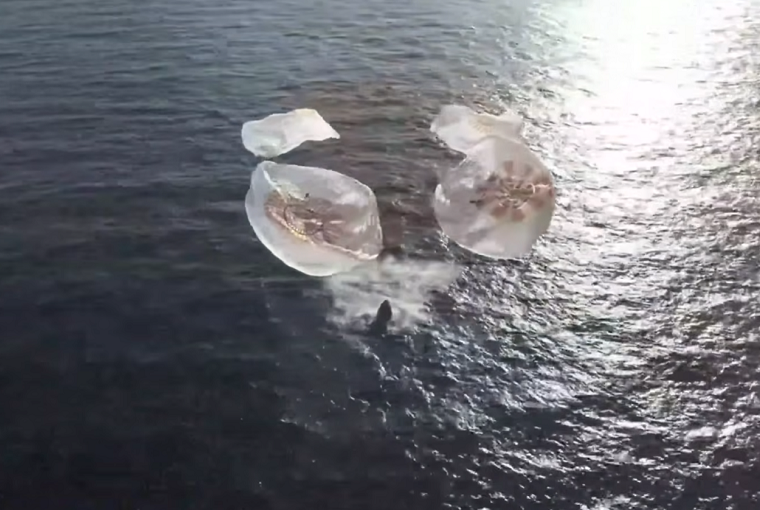 An astronaut splashdown