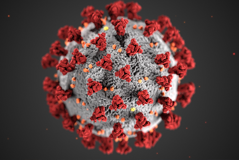 Image of COVID-19 coronavirus