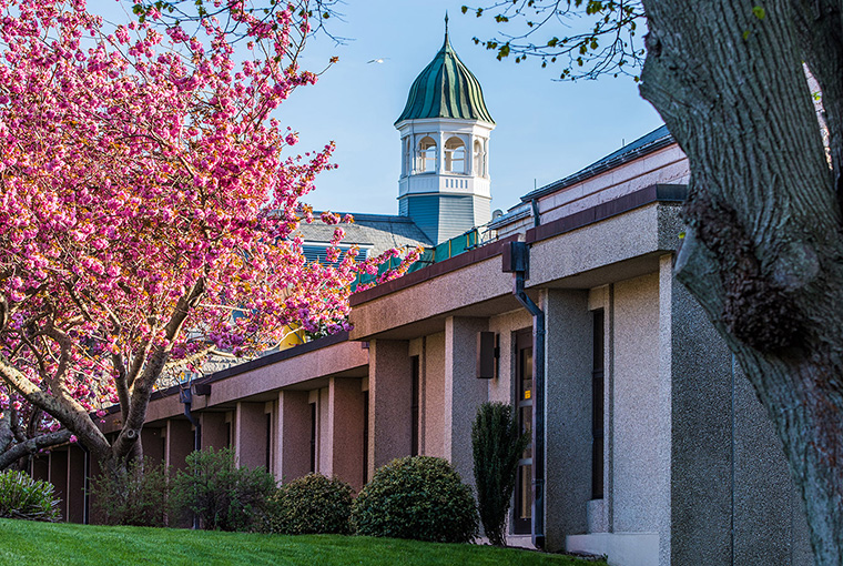 U.S. Naval War College with cherry blossom trees