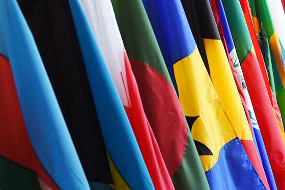 International Flags Hanging